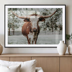 Texas Longhorn Wall Art Canvas Print | Framed Spotted Brown and White Bull