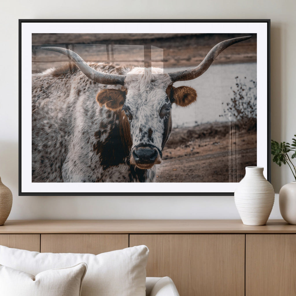 Texas Longhorn Wall Art Canvas Print | Framed Brown and White Spotted Longhorn