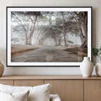 Cypress Tunnel Wall Art | Framed Misty Road Canvas Artwork