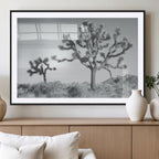 Joshua Tree Wall Art Canvas Print, Framed Black and White Desert Landscape Artwork