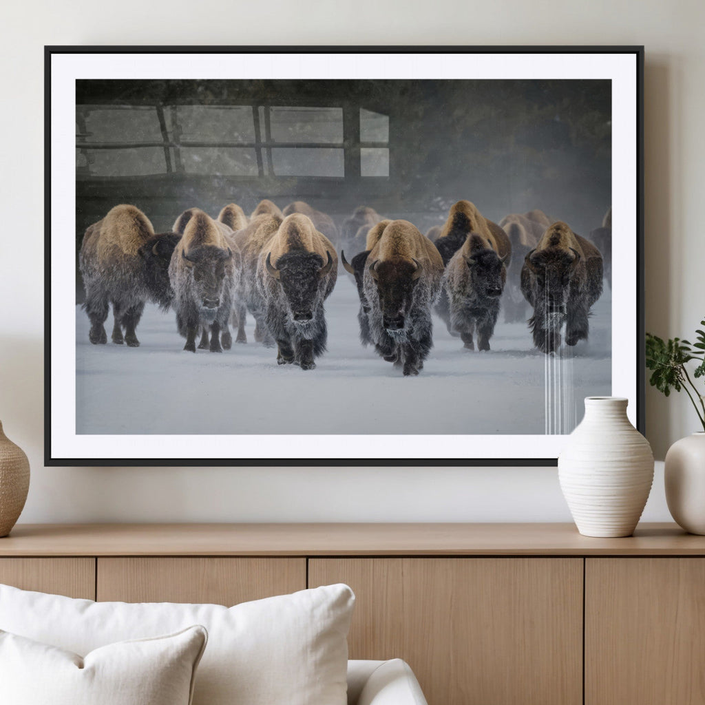 Bison Herd Wall Art Canvas Print, Framed Rustic Wildlife Decor, Snowy Bison Landscape