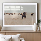 Bison Herd Wall Art Canvas Print, Framed Western Prairie Serenity