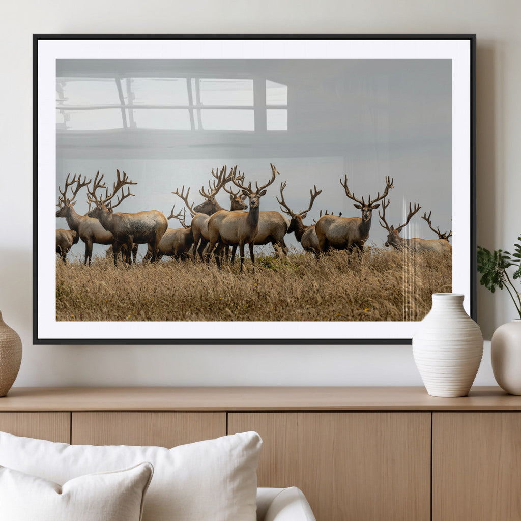 Elk Herd Wall Art Canvas Print, Framed Wildlife Photography Art, Majestic Antlers Rustic Wildlife Decor