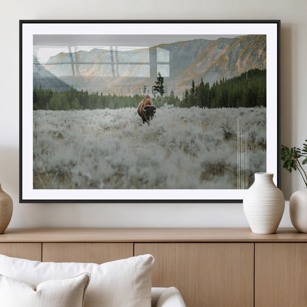 Wild Bison Wall Art Canvas Print, Majestic Mountain Pines and Misty Wilderness