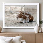 Majestic Longhorn Wall Art Canvas Print, Resting on Sunlit Desert Ground
