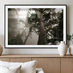 Misty Forest Wall Art Canvas Print, Framed Tall Trees in Foggy Atmosphere