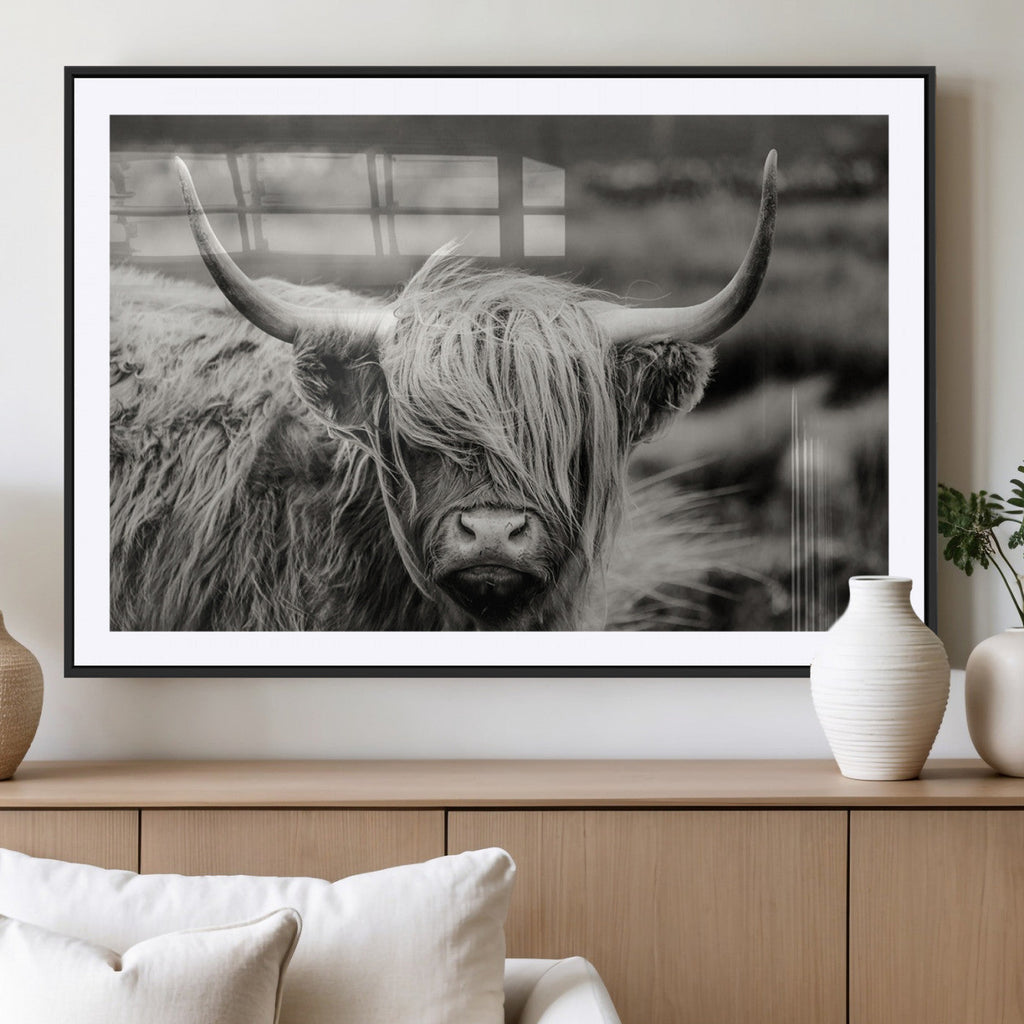 Cow Focus Canvas Wall Art Print