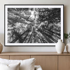 Trees Contemporary Art Canvas Print