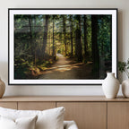 Sunlit Forest Pathway Canvas Print | 3 Panel Large Nature Wall Art