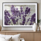 Lavender Herb Wall Art Canvas Print