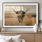 Texas Cow Wall Art Canvas Print for Farm House Wall Decor