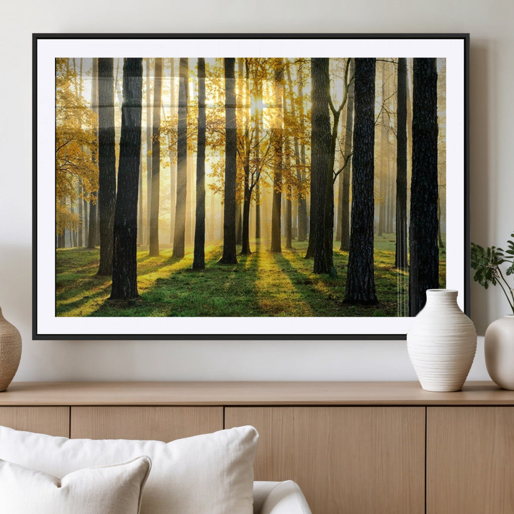 Sunlit Forest Wall Art Canvas Print, Large Framed Woodland Scene with Golden Light