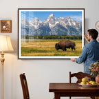 Bison in Mountain Landscape Wall Art Canvas Print, Western Decor