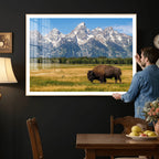 Bison in Mountain Landscape Wall Art Canvas Print, Western Decor
