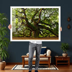 Angel Oak Tree Wall Art Canvas Print | Forest Tree Nature Photography Print