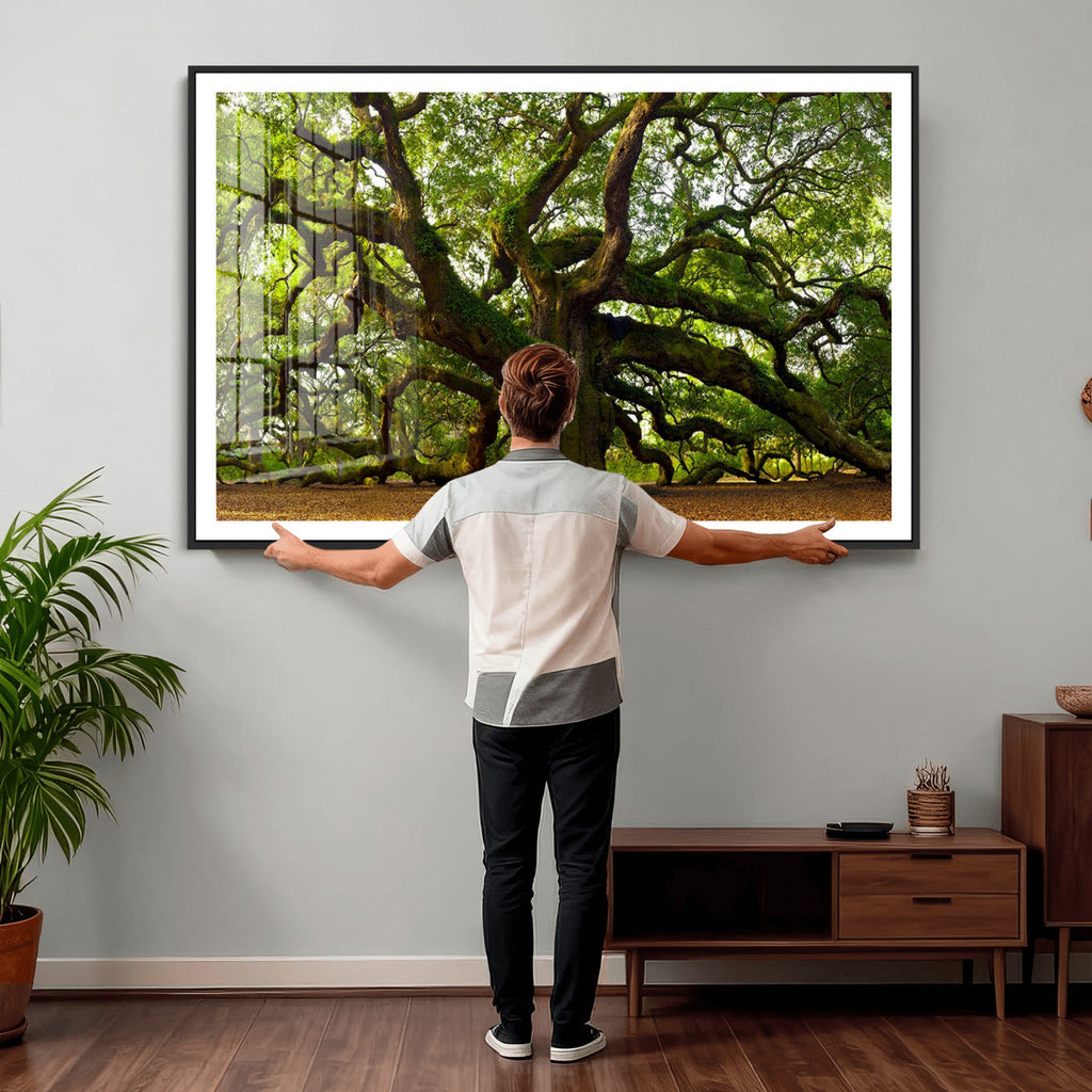 Angel Oak Tree Wall Art Canvas Print | Forest Tree Nature Photography Print