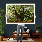 Angel Oak Tree Wall Art Canvas Print | Forest Tree Nature Photography Print