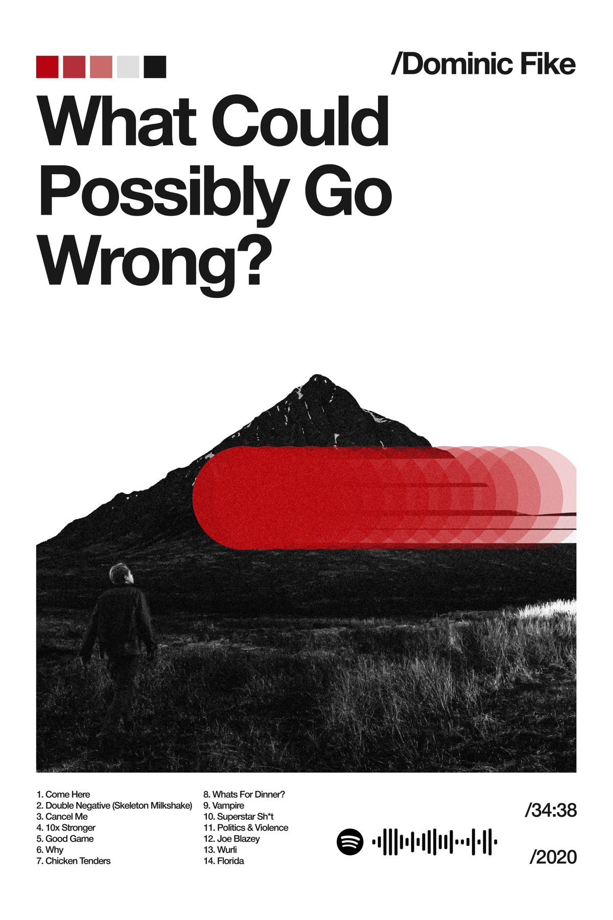 What Could Possibly Go Wrong? - Playback Series