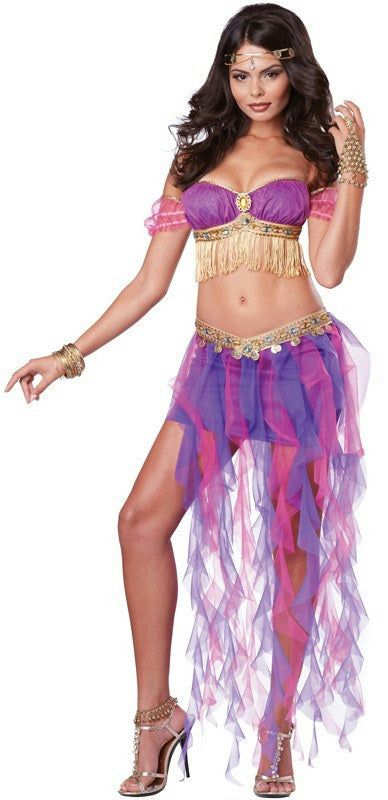 Pink & Purple Belly Dancer Adult Costume Medium 8-10