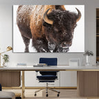 Bison Wall Art Canvas Print For Farmhouse, Wild Animal Wall Art
