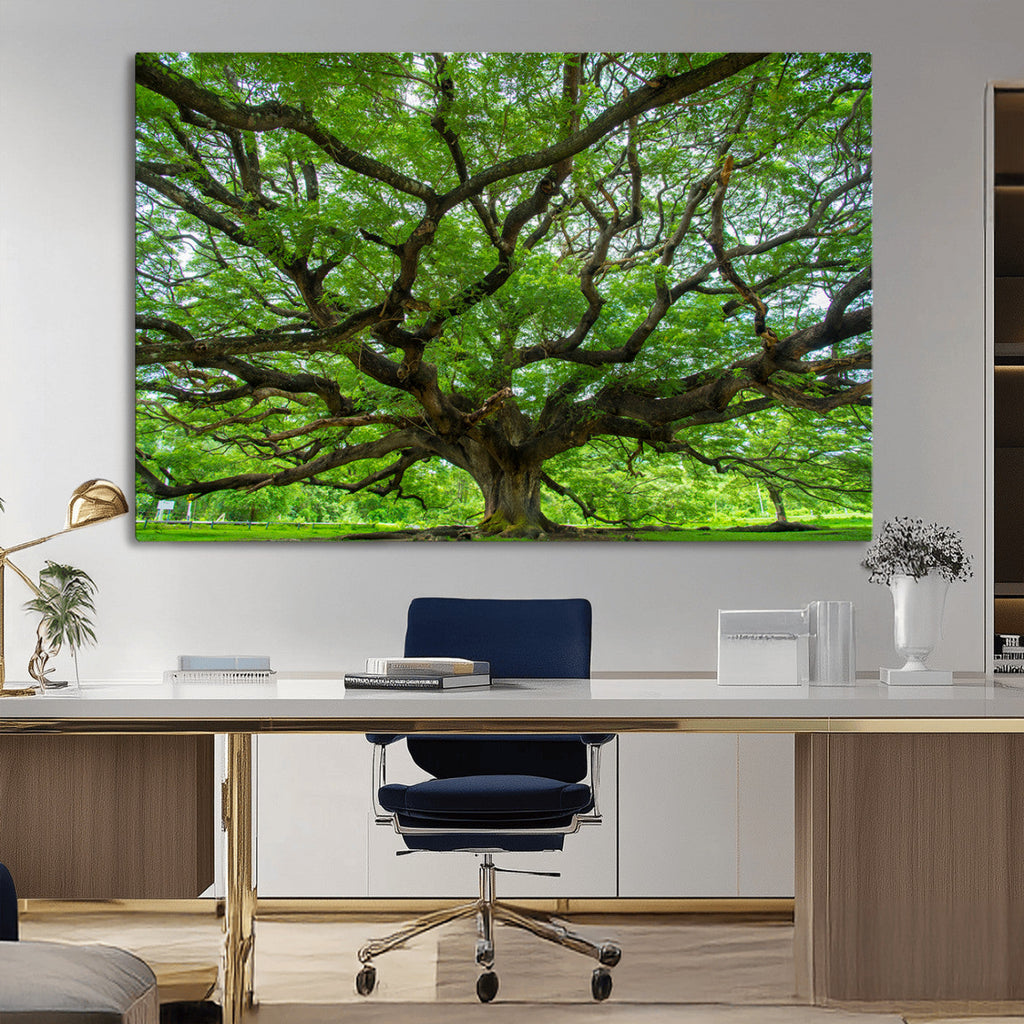 Ancient Tree Wall Art Canvas Print, Framed Sprawling Branches