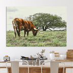 Texas Longhorn Wall Art Canvas Print, Rustic Western Ranch