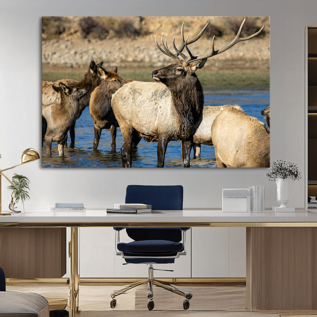 Wild Elk Wall Art Canvas Print, Framed Neutral Wildlife Scene