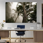 Misty Forest Wall Art Canvas Print, Framed Tall Trees in Foggy Atmosphere