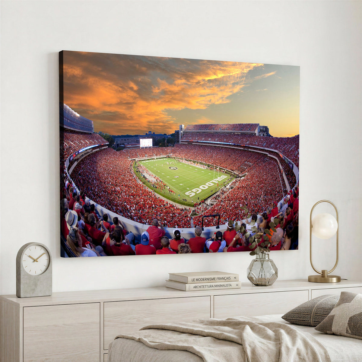 Dooley Stadium Wall Art, Sports Arena Canvas Print, Dooley Field, Framed and Ready to Hang