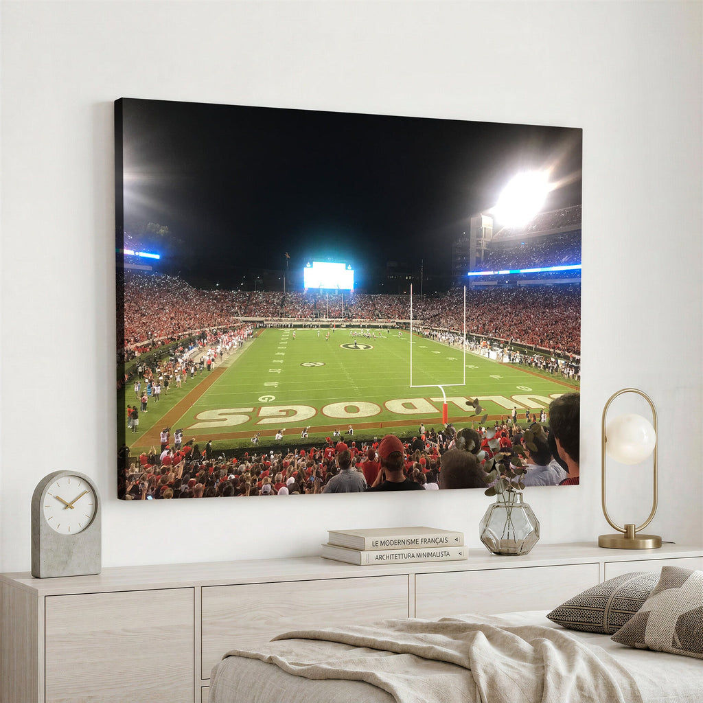 Dooley Stadium Wall Art, Sports Arena Panoramic Canvas