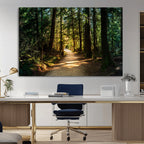 Sunlit Forest Pathway Canvas Print | 3 Panel Large Nature Wall Art