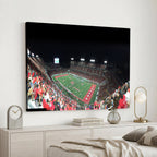 Houston Cougars Football Team Print, Houston TDECU Stadium