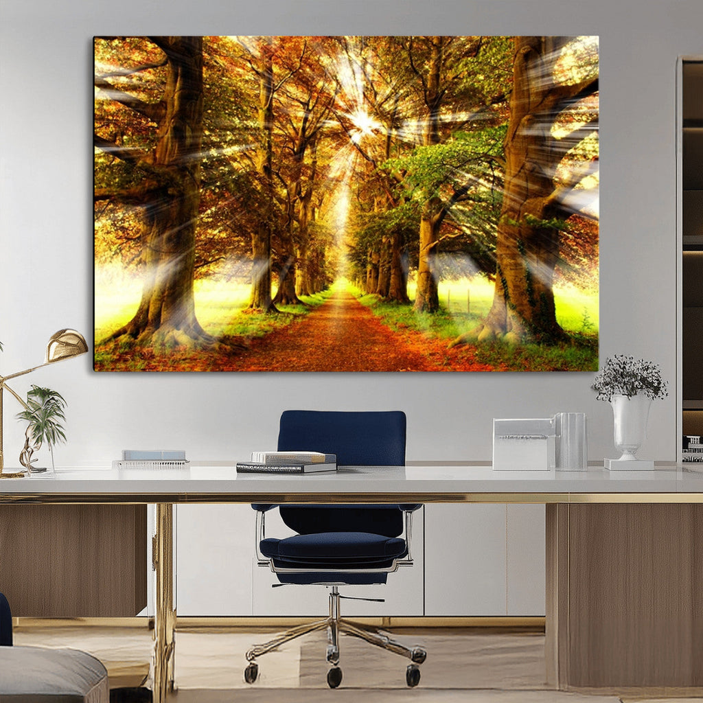 Sunshine in Forest and Trees Wall Art Canvas Print