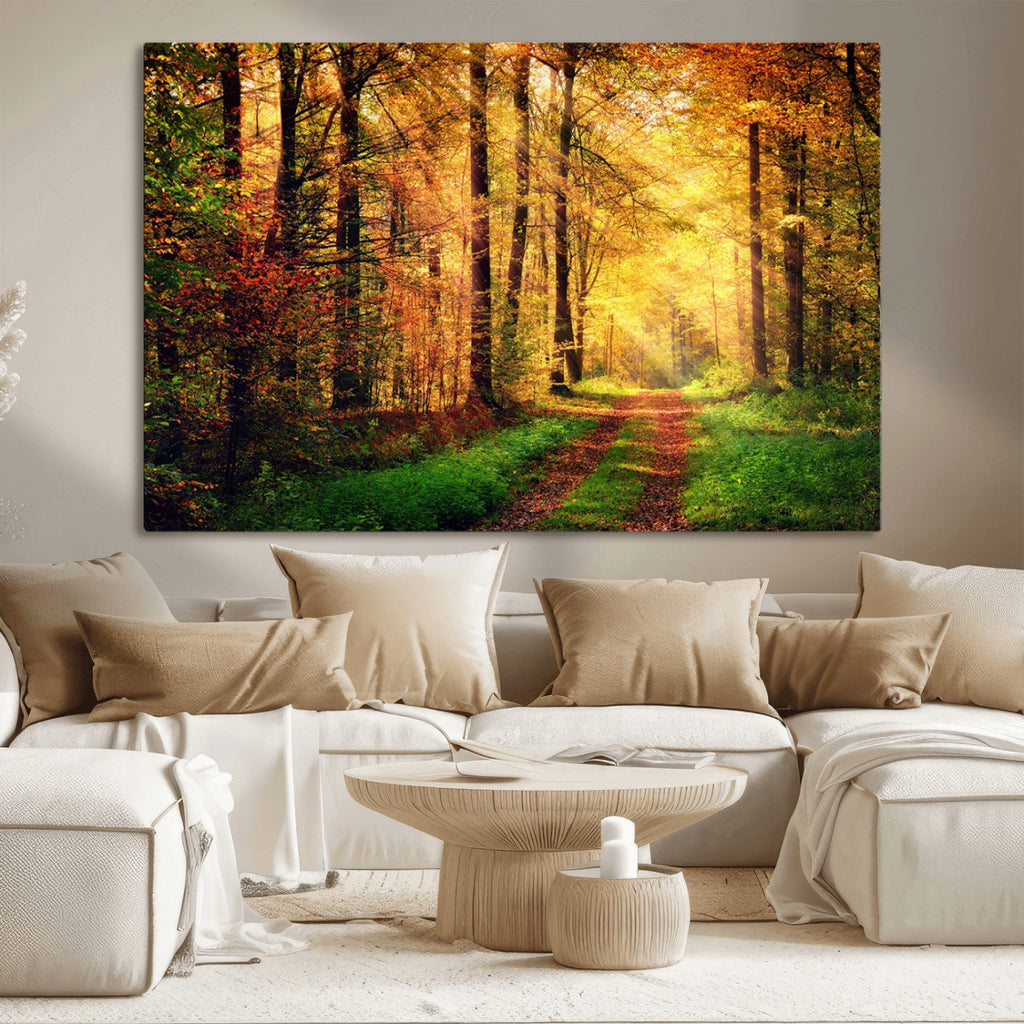 Sunlight Through Trees Wall Art Canvas Print | Autumn Forest Wall Art