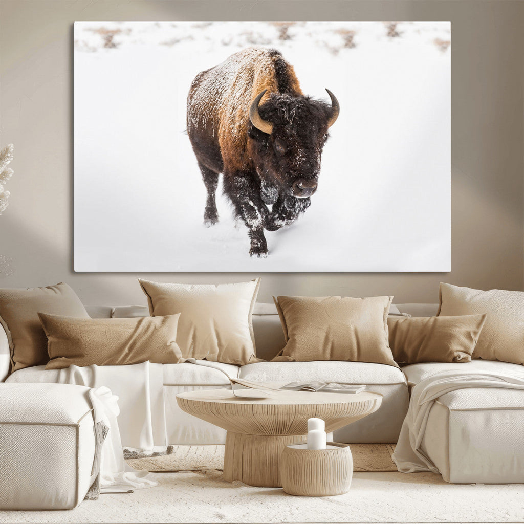 Bison Winter Wall Art Canvas Print For Farmhouse Decor