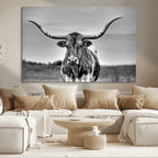 Texas Longhorn Cow Wall Art, Texas Longhorn Canvas, Cattle