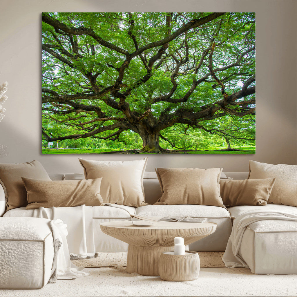 Ancient Tree Wall Art Canvas Print, Framed Sprawling Branches
