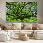 Ancient Tree Wall Art Canvas Print, Framed Sprawling Branches