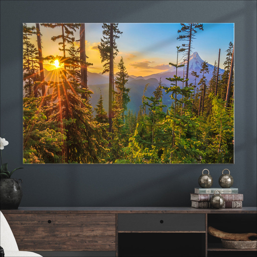 Forest Sunset Wall Art Canvas Print | Green Pines in Golden Light