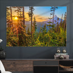 Forest Sunset Wall Art Canvas Print | Green Pines in Golden Light