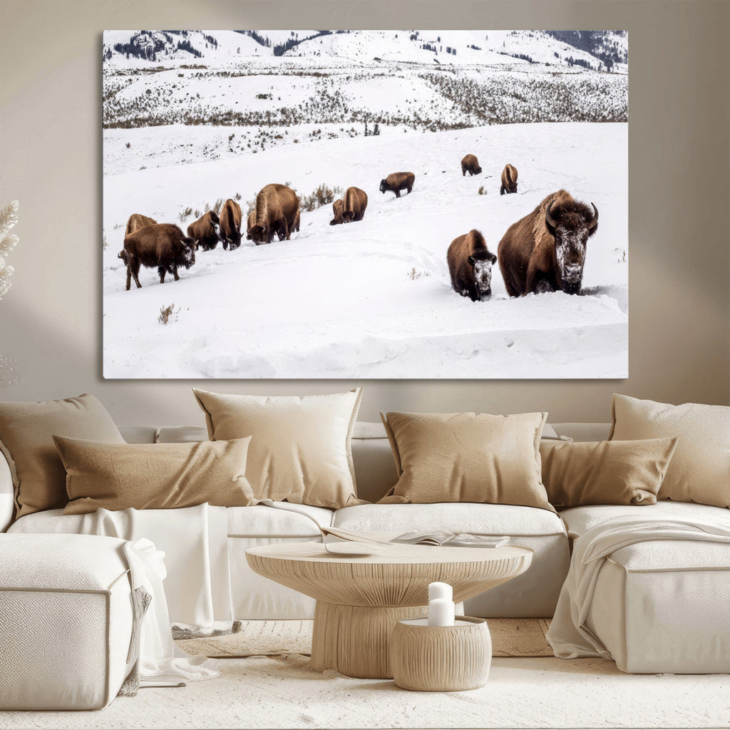 Bison Herd Wall Art Canvas Print, Framed Western Wildlife Decor, Snowy Mountain Valley