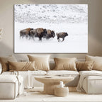 Bison Herd Wall Art Canvas Print, Framed Snowy Bison Scene, Winter Wildlife Decor