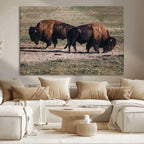 Bison Wall Art Canvas Print, Framed Western Wildlife Modern Ranch