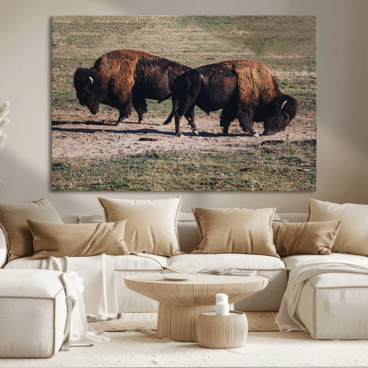 Bison Wall Art Canvas Print, Framed Western Wildlife Modern Ranch