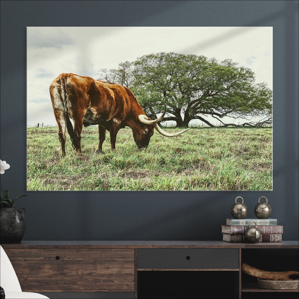 Texas Longhorn Wall Art Canvas Print, Rustic Western Ranch