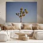 Joshua Tree Wall Art Canvas Print, Framed Southwestern Desert Landscape