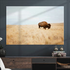 Buffalo Wall Art Canvas Print, Framed Western Wildlife Rustic Prairie Scene