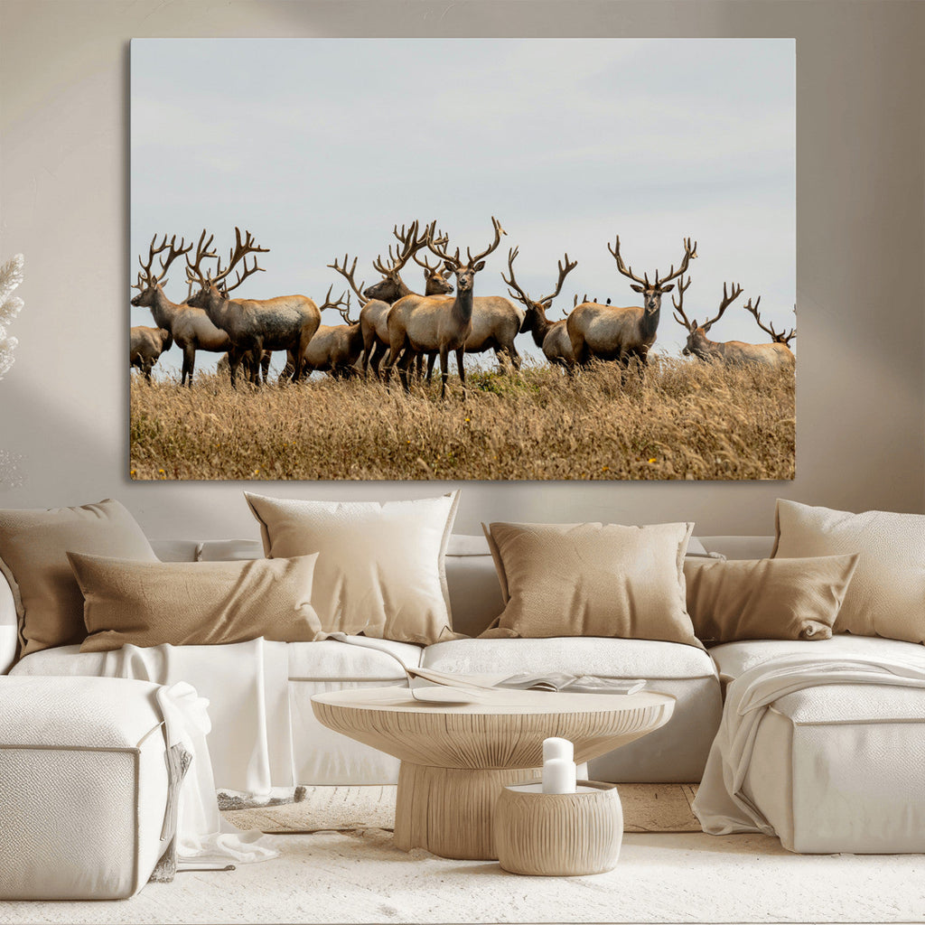 Elk Herd Wall Art Canvas Print, Framed Wildlife Photography Art, Majestic Antlers Rustic Wildlife Decor