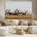 Elk Herd Wall Art Canvas Print, Framed Wildlife Photography Art, Majestic Antlers Rustic Wildlife Decor
