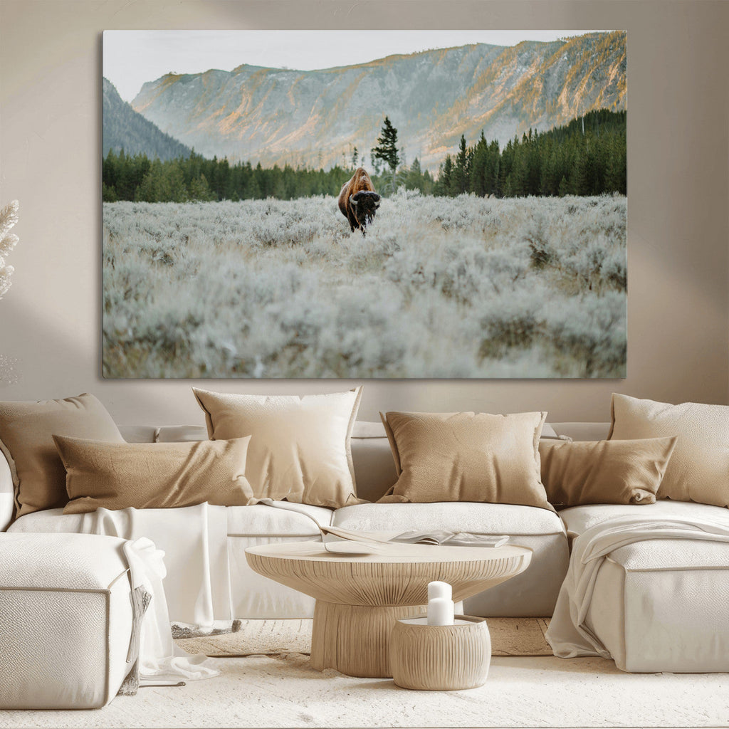 Wild Bison Wall Art Canvas Print, Majestic Mountain Pines and Misty Wilderness